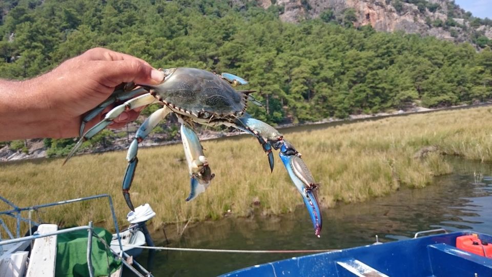 Marmaris: Dalyan Turtle Beach Tour With Mud Bath & Lunch - Important Information