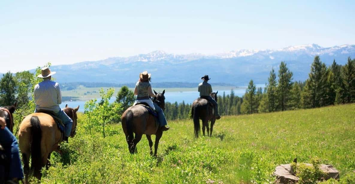 Marmaris Horse Safari - Safety Measures and Insurance