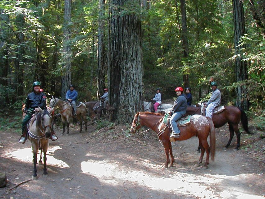 Marmaris National Park: Horse Safari - Preparing for Your Safari