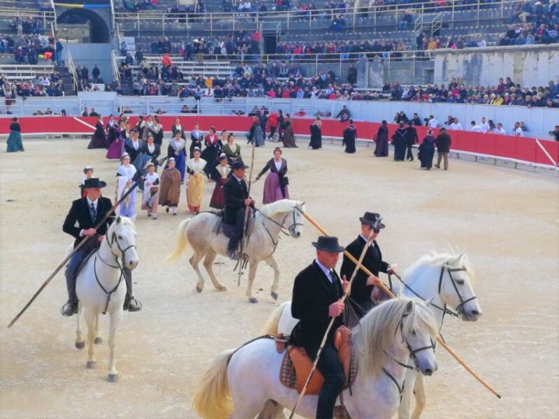 Marseille: The Camargue 8-Hour Guided Outing - Accessibility Features