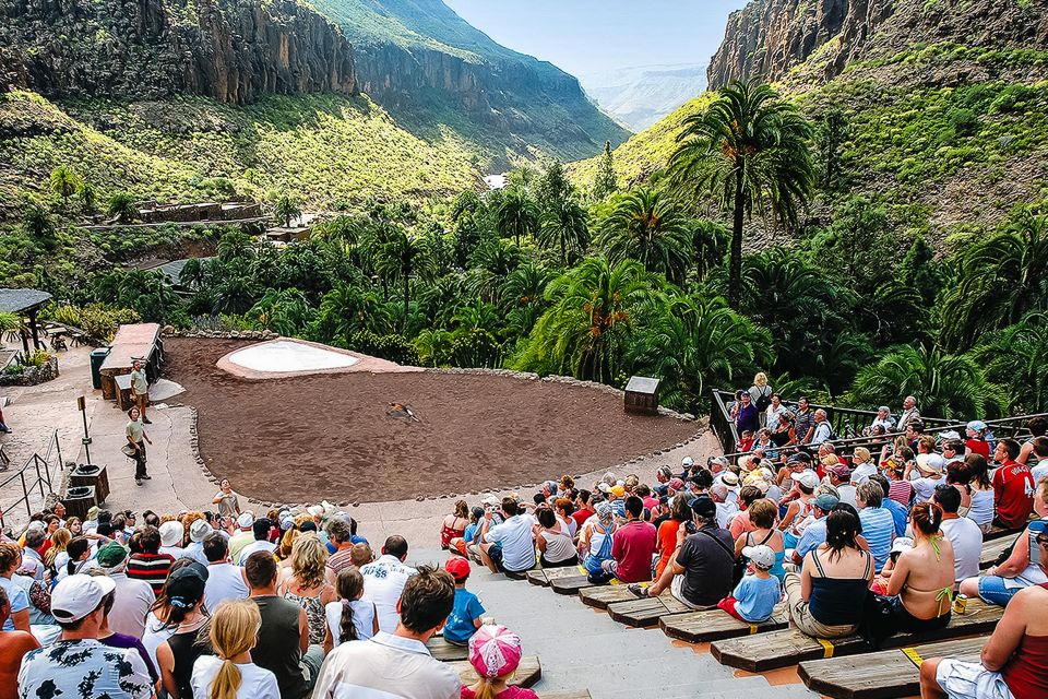 Maspalomas: Palmitos Park Ticket With Dolphin and Bird Shows - Reptiles and Caiman Lake