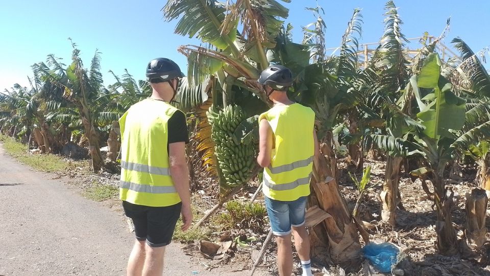 Maspalomas: Southern Coast E-Bike Tour Option Tapas Tasting - Customer Reviews Summary