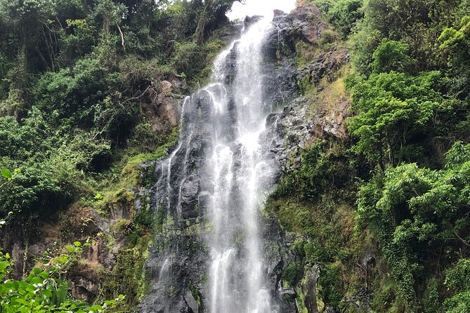 Materuni Waterfalls Coffee Tour & Chemka Hot Springs Day Trip - Kikuletwa Hot Springs