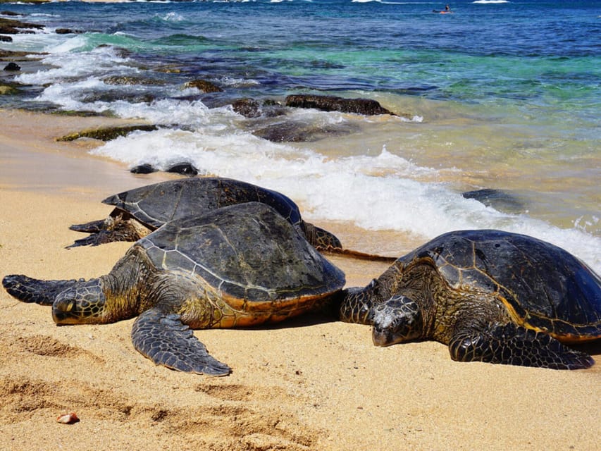 Maui: Private Island Tour With Meals & Snorkeling - Amenities for a Comfortable Journey