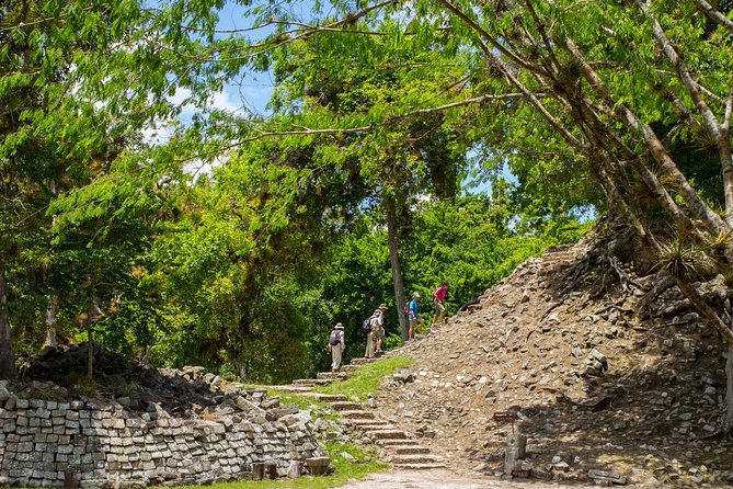 Mayan Ruins of Copan Day Trip From San Pedro Sula - Customer Reviews