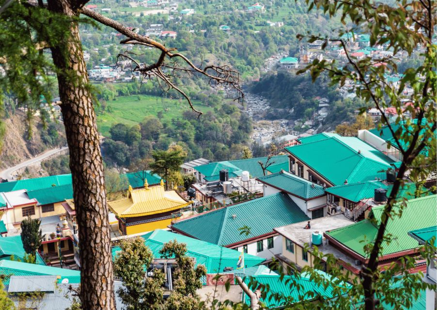 Mcleodganj Nature Trek (3 Hours Guided Walking Tour) - Meeting Point Details