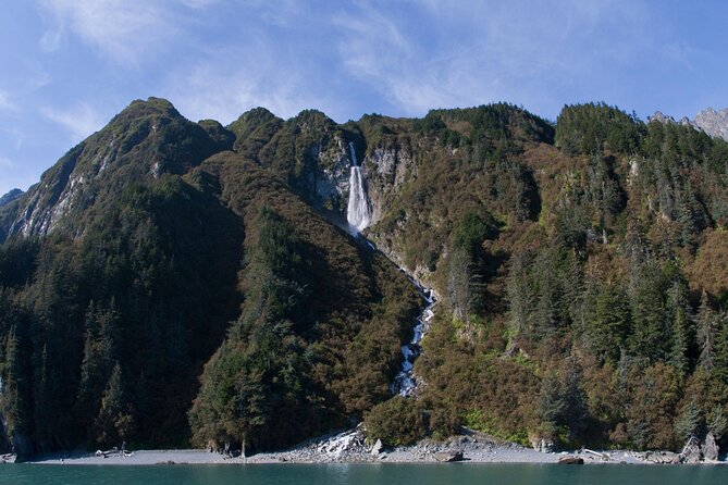 Meares Glacier Cruise Excursion From Valdez - Cancellation Policy