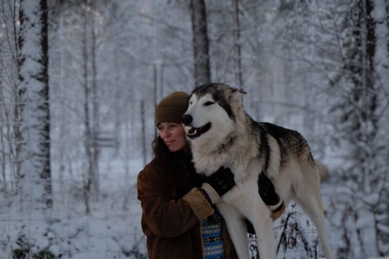 Meet Taivas & the Arctic Wolves - Private Tour - Wildlife Conservation Efforts