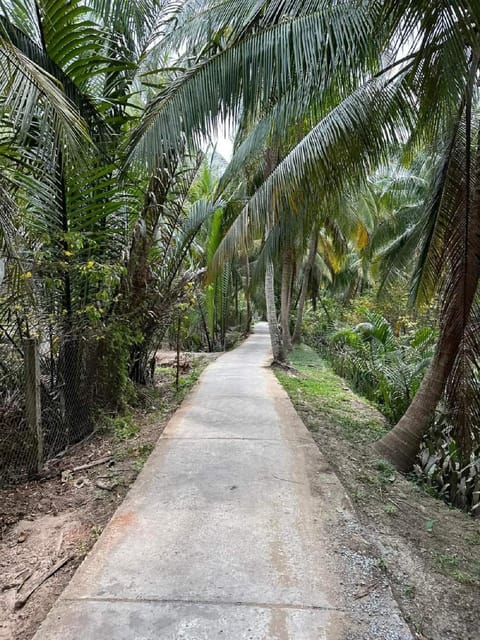 Mekong Delta Fullday Tour - Booking and Availability