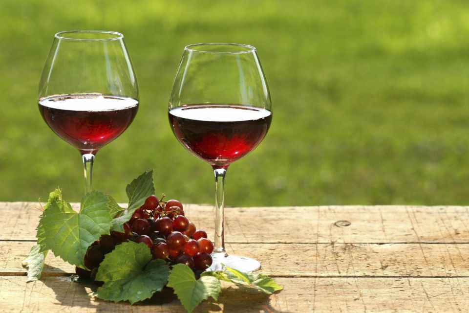 Mendoza: Half-Day Wine Tour With Tastings and Lunch - Group Size and Language