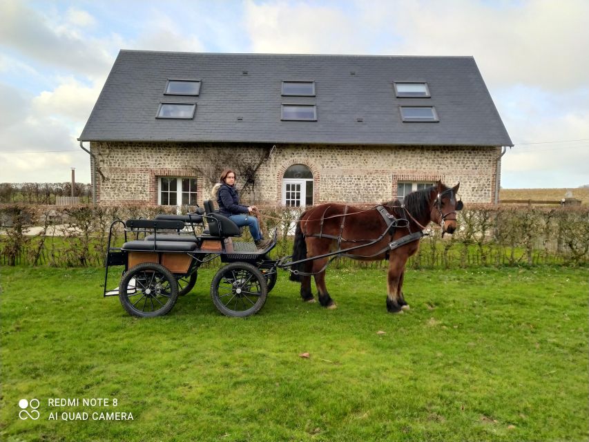 MENTHEVILLE : Horse Cariage Ride in Coutryside - Meeting Point and Ride