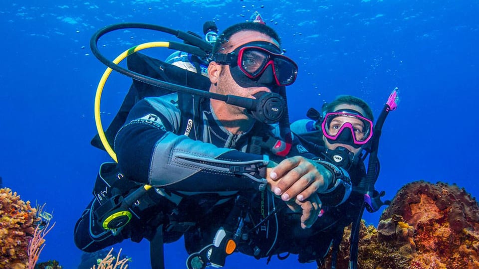 Miami: 2 Tank Dive Trip - Safety and Requirements