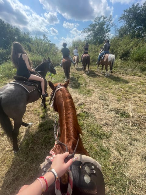 Miami: Horseback Riding - What to Expect