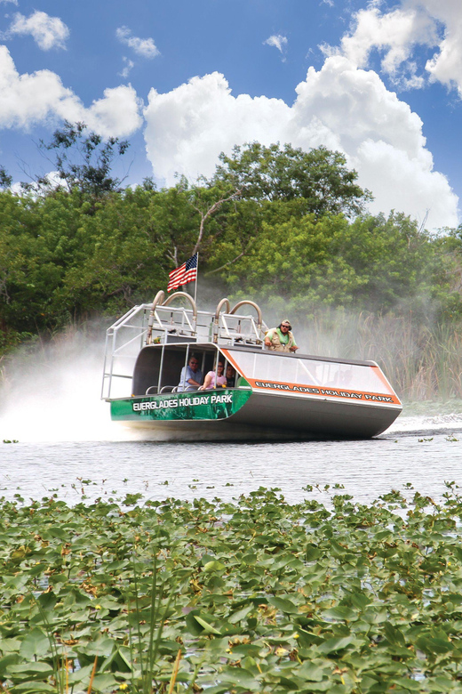 Miami: Wild Everglades Airboat Ride and Gator Encounters - Photography Opportunity