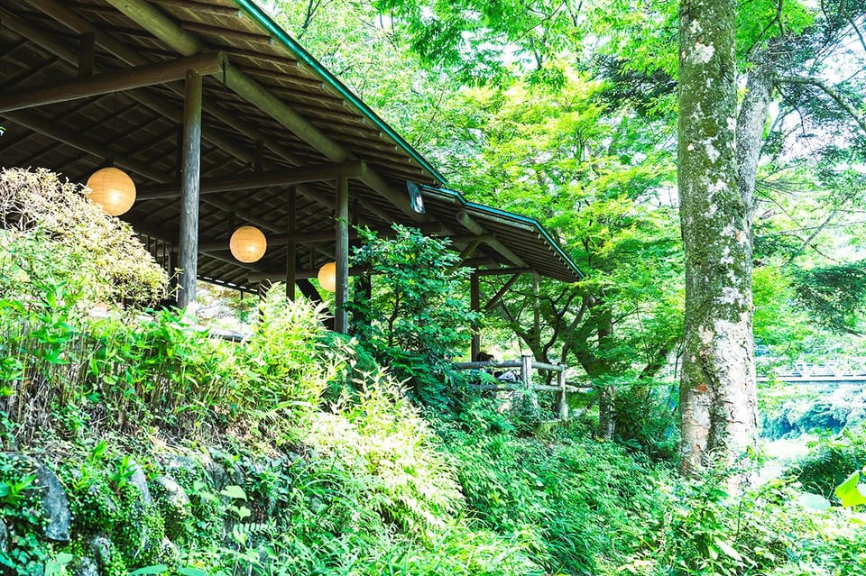 Mitake Ravine Hiking, Sake, and Art Tour - Participant Information