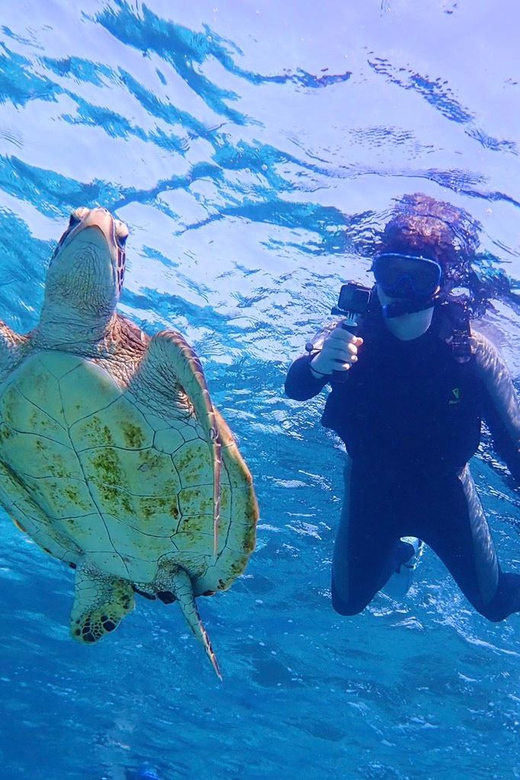 Miyako Island: Pumpkin Limestone Caving & Snorkeling - Important Tour Information