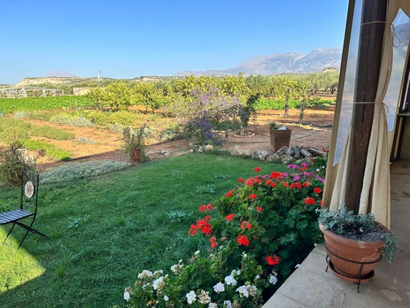 Moires: Cooking Class and Meal at a Family Olive Farm - Included Amenities