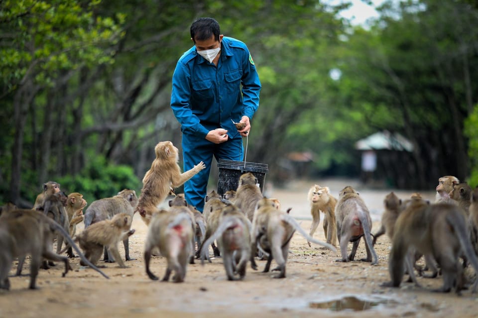 Monkey Island + Can Gio Mangrove Forest - Shared Tour - Pricing Information