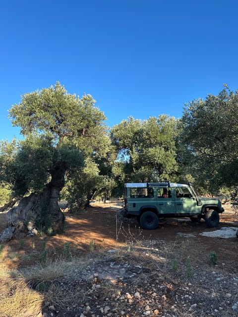 Monopoli: off Road Tour in Vintage Land Rover Defender 110 - Vehicle Details