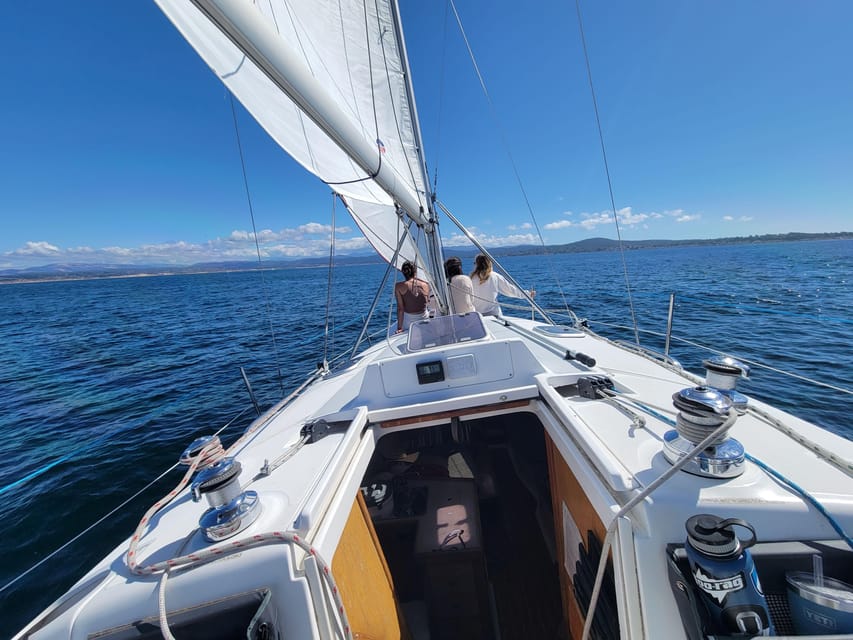 Monterey: Private Whale Watching/Sailing Tour for 6 - Tour Guide Expertise