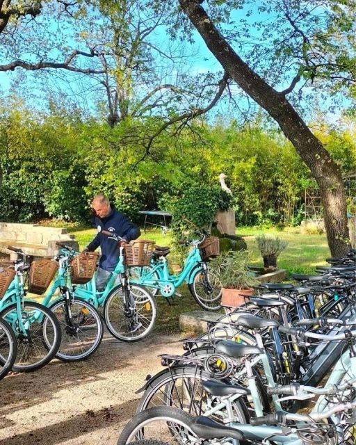 Monteux: Bike Rental - Scenic Routes in Côte Dazur