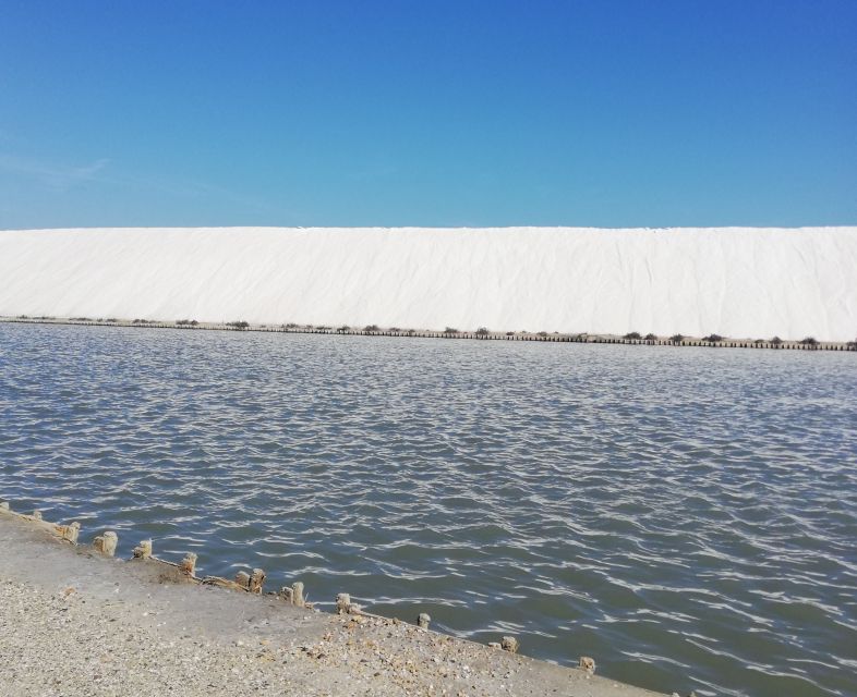 Montpellier: Guided Half-Day Trip to a Camargue Manade - Tips for the Trip