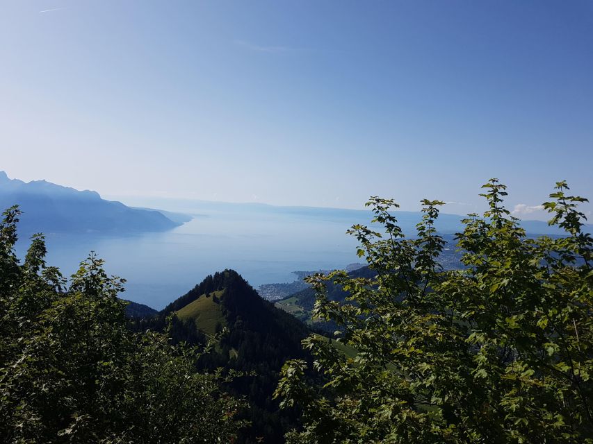 Montreux to Rochers-de-Naye: Alpine Adventure Ticket - Inclusions of the Ticket