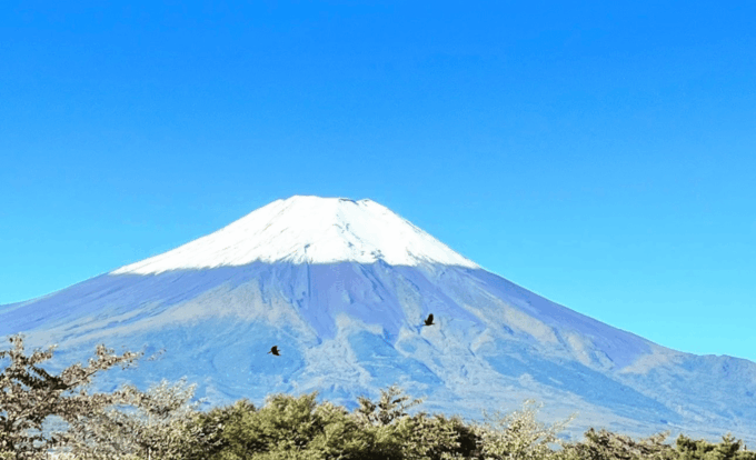 Mount Fuji Day Tour With English Speaking Guide - Group Size and Accessibility
