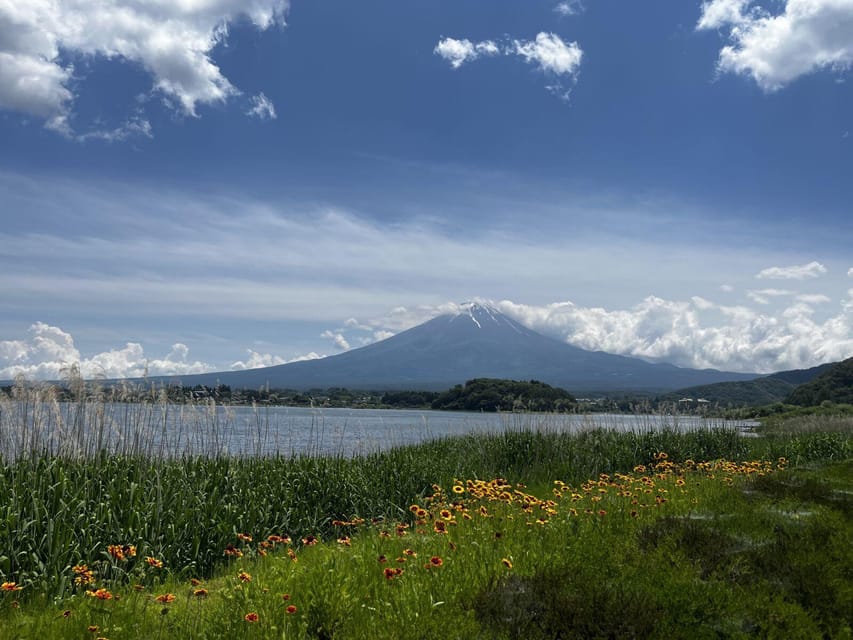 Mount Fuji Day Trip: Adventure Around Lake Kawaguchiko - Meeting Point Instructions