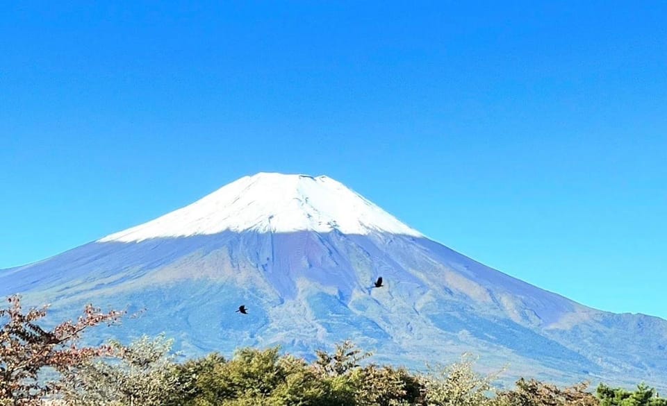 Mount Fuji Full Day Private Tour With English Speaking Guide - Booking and Cancellation Policy