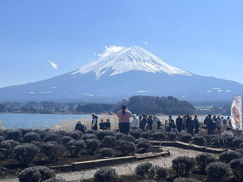 Mount Fuji,Hakone Private Tour by Car With Pick up - Exploring Hakone Attractions