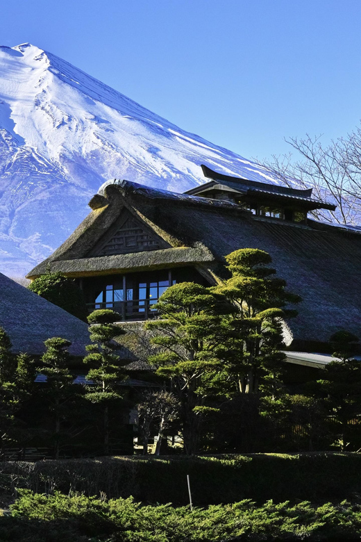 Mount Fuji&Lake Kawaguchi Private Trip With English Speaker - Tips for Travelers