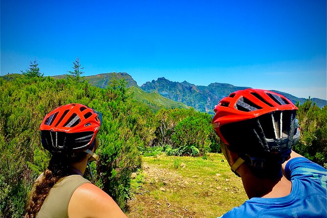 Mountain Biking Tour - Beginner Easy - Scenic Views and Forest Trail