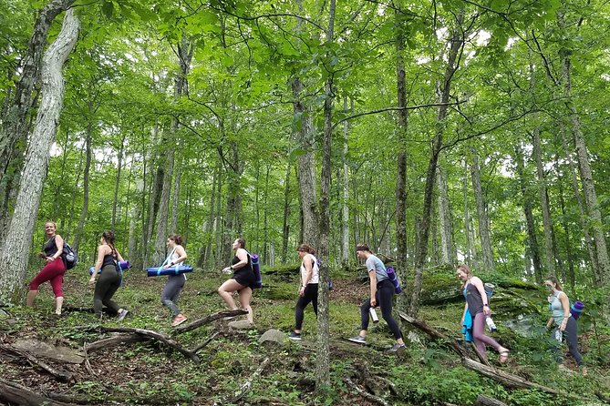 Mountaintop Yoga & Meditation Hike in Asheville - Feedback From Previous Travelers