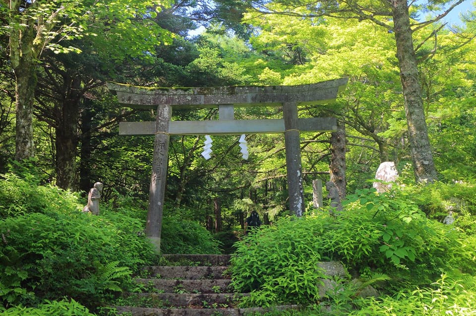 Mt. Fuji 5th Station Climbing，and Ancient Temple 1-Day Tour - Health and Safety Requirements