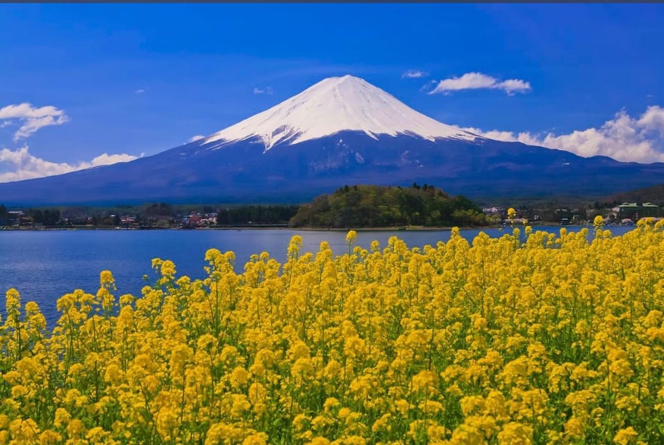 Mt.Fuji Private Tour by Car With Pick and Drp From Tokyo - Customer Reviews