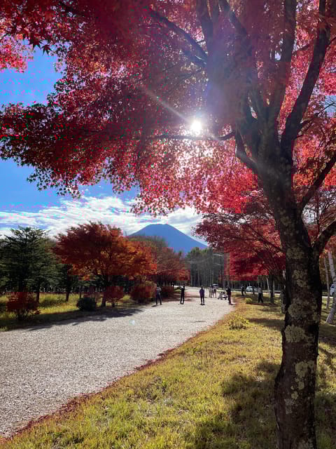 Mt. Fuji/ Tour Delivered and Guided by a Top-Tier Driver - Itinerary Highlights