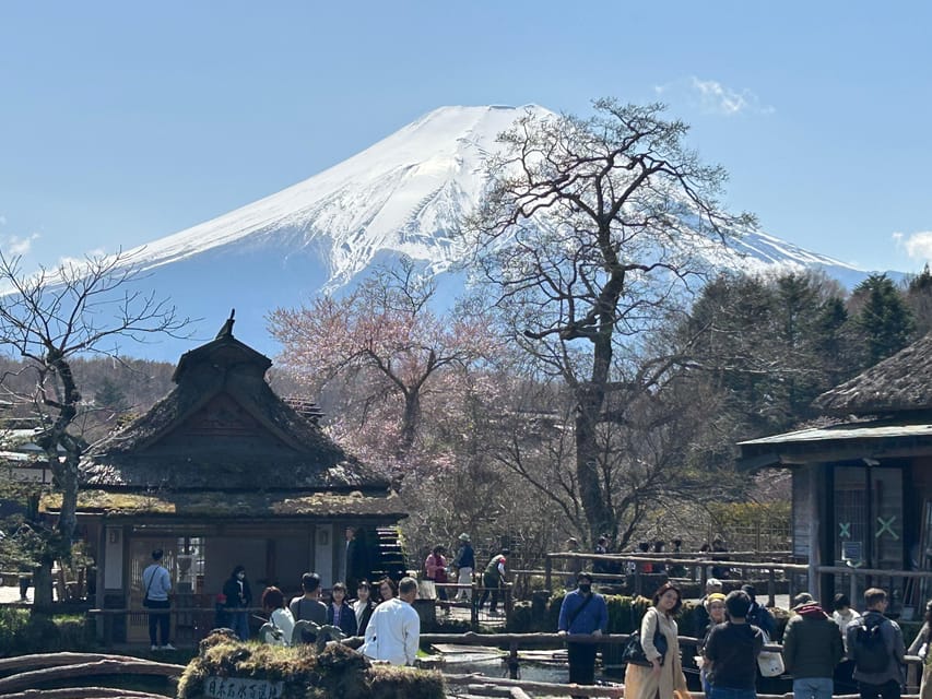 Mt.Fuji Tour, Tokyo / Yokohama ⇒ Tokyo, 2-4 Guests - Group Accommodation Details