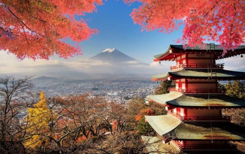 Mt Fuji Tour With Experienced English Driver - Customer Reviews and Feedback