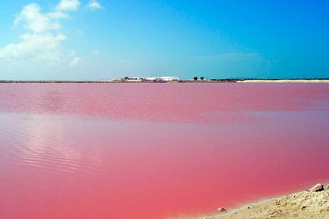 Mud Volcano and Pink Sea With Lunch Included - Pricing and Booking Information