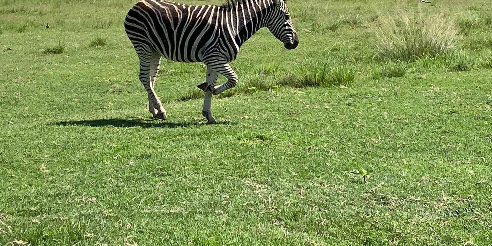 Muningi Gorge: Quad Safari and Wildlife Encounter Game Drive - Booking and Cancellation Policy