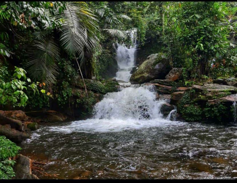 Munnar: Tea Garden and Elephant Safari Trip by 4x4 - Frequently Asked Questions