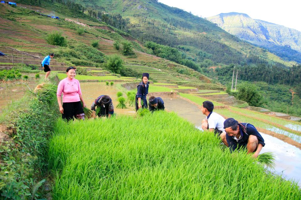 Muong Hoa Valley 2-Day Group Trek With Homestay - Meeting Point Information