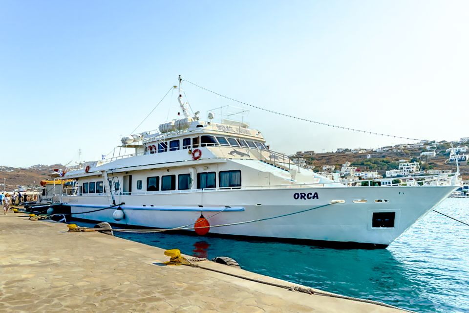 Mykonos: Delos Boat Transfer With Cell Phone Audioguide - Recommended Items and Accessibility