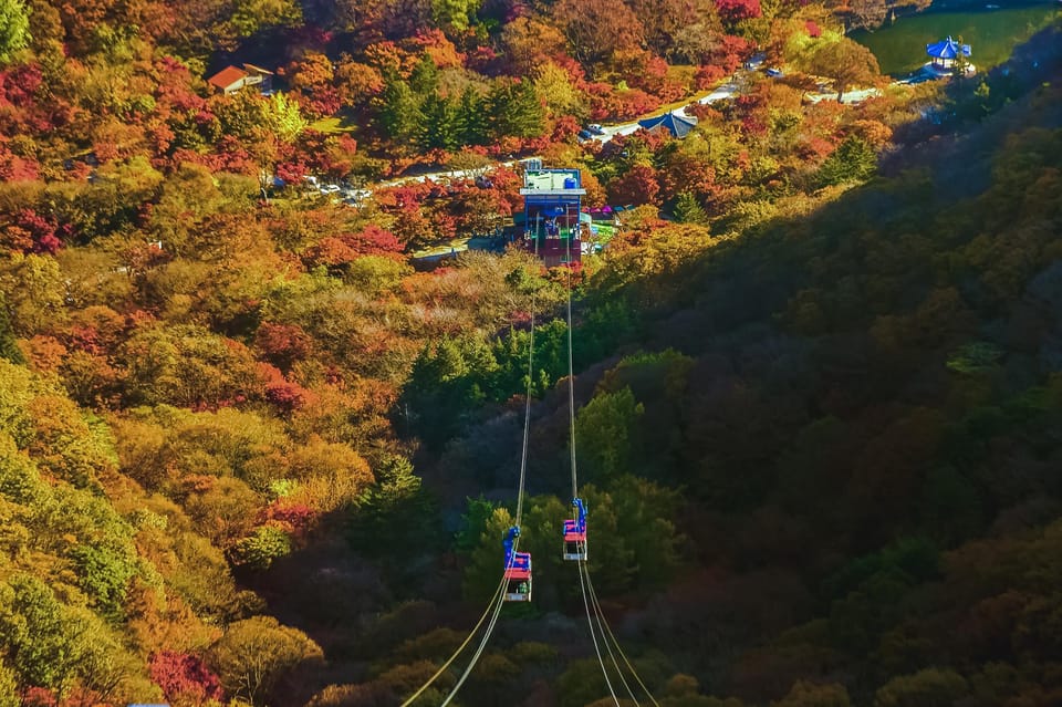 Naejangsan: Highlight of a Korean Autumn Day Trip From Busan - Important Information for Participants