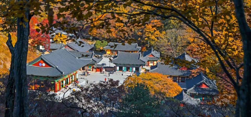 Naejangsan: Highlight of a Korean Autumn Day Trip From Seoul - Cultural Stops Along the Way