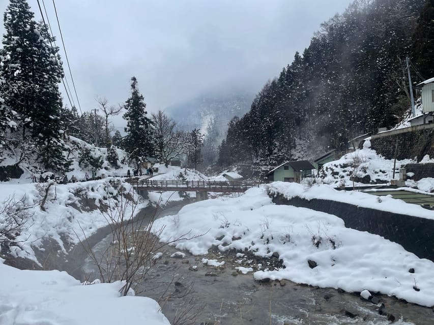 Nagano: Snow Monkey Park, Zenkoji One Day Private Tour - Inclusions and Exclusions