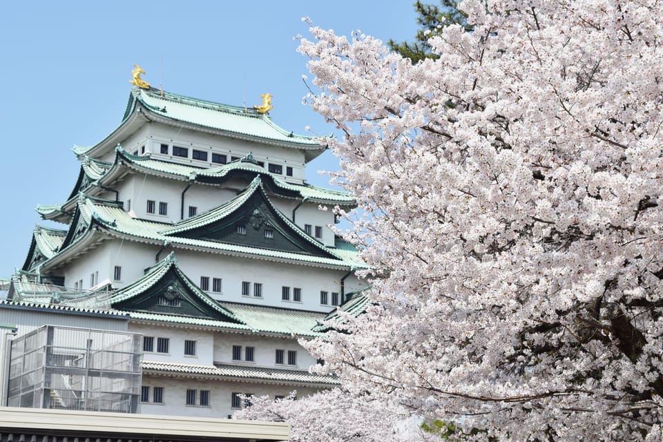 Nagoya: English-Guided Jogging Tour of the City (2 Hours) - Important Notes