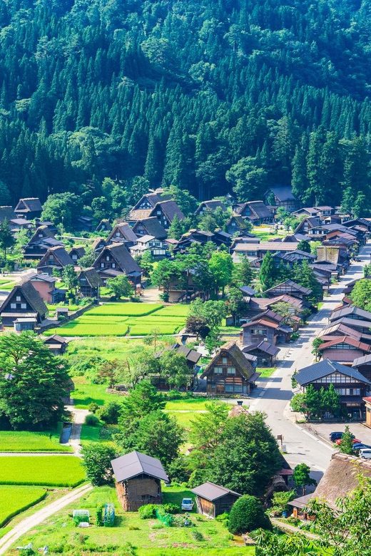 Nagoya: Shirakawa-go, Gujo, Hida Takayama Historic Day Tour - Seasonal Scenery