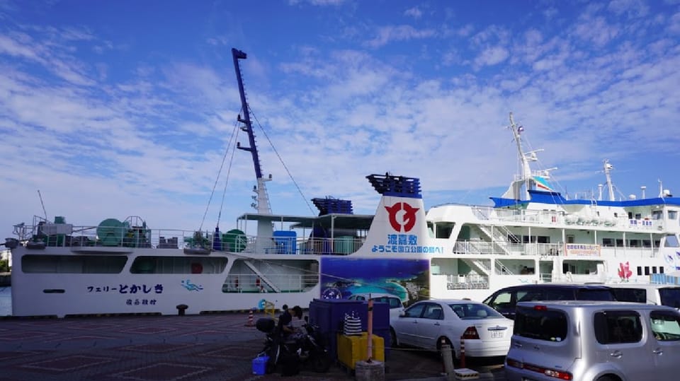 Naha: Tokashiki Day Trip & Kerama Islands Scuba Diving Trip - Customer Feedback